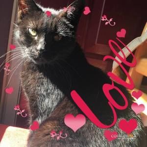 Meet your Posher, Lori